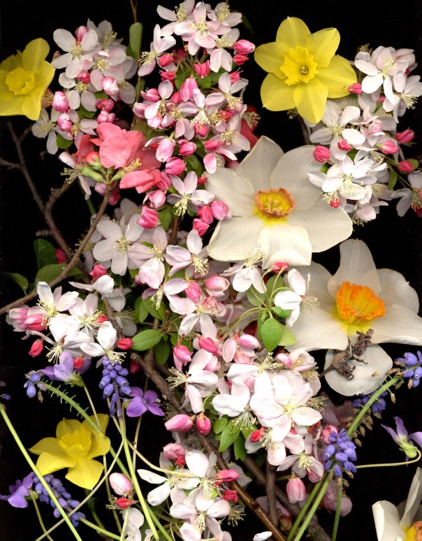 spring_bouquet2